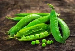 豆子吃瓜链接,揭秘豆子与瓜的奇妙缘分