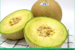 怀孕天天吃哈密瓜好吗,营养与健康的双重守护