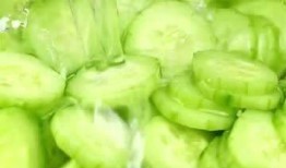 减肥晚上可以吃小瓜,小瓜助你轻松减肥