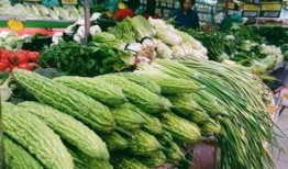 巨野小区吃瓜,揭秘邻里间的甜蜜纠纷