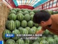 湘北吃瓜