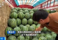 湘北吃瓜