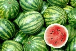 吃瓜猿人,揭秘网络红人的崛起与影响