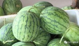 彩虹朋友吃的瓜,揭秘甜蜜背后的故事