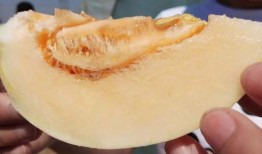 吃瓜现场在哪,吃瓜现场背后的故事与真相