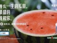 直接到瓜田吃瓜,尽享夏日清凉美味