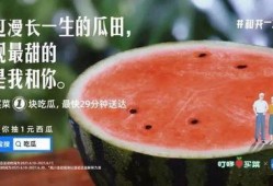 直接到瓜田吃瓜,尽享夏日清凉美味