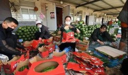 博兴吃瓜群众,揭秘当地热点事件背后的故事