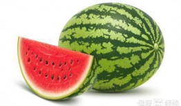 有瓜吃吗什么瓜,揭秘“有瓜吃吗什么瓜”的神秘面纱