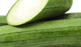 找瓜怎么吃,探索“找瓜”的乐趣与美味吃法