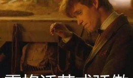 天麻瓜怎么吃,解锁健康美味新体验