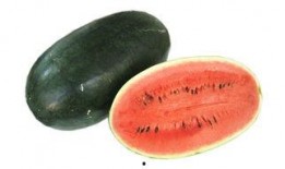 吃瓜必备问题,吃瓜必备的十大热点问题全解析