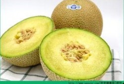 吃哈密瓜怎么给宝宝吃,营养美味两不误