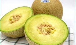 吃哈密瓜怎么给宝宝吃,营养美味两不误