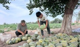 每天都在疯狂吃瓜,追踪娱乐圈疯狂吃瓜瞬间