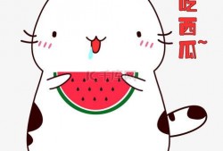 猫咪头像吃瓜图片卡通,卡通猫咪的趣味日常