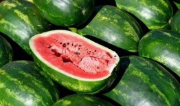 蜜瓜怎么吃才正确,解锁正确品尝蜜瓜的秘诀