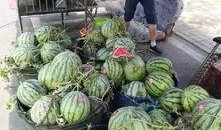 沙河乐园吃瓜事件,一场意外的“瓜”界风波