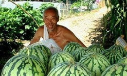 皇帝吃瓜杀瓜农,从吃瓜杀瓜农到反思权力滥用