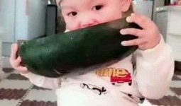 吃瓜视频红色系,揭秘吃瓜视频中的红色系潮流