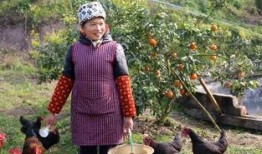 兰姐看吃瓜,揭秘娱乐圈幕后真相