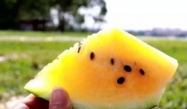 炸裂瓜黄色吃瓜连麦,揭秘网络直播新潮流