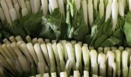 大连主播吃瓜,趣味横生直播瞬间