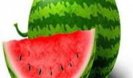 胖小子吃瓜,趣味横生的夏日消暑记