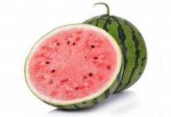 吃麒麟瓜的感受,舌尖上的甜蜜邂逅