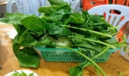 潮州浮洋吃瓜,探寻传统美食“吃瓜”的独特魅力