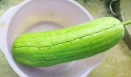 水瓜炒着吃做法