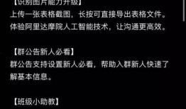 钉钉的吃瓜中,社交新玩法，职场互动新风尚