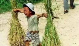 乡下孩子吃瓜情景简短,瓜田里的欢乐时光