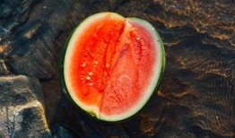 雨燕吃瓜,空中捕食者的瓜田盛宴