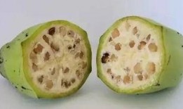 长籽瓜怎么吃,解锁美味新体验