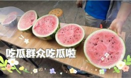 每天都在疯狂吃瓜,追踪娱乐圈疯狂吃瓜瞬间