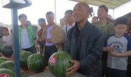 泗阳吃瓜群众,揭秘当地生活百态