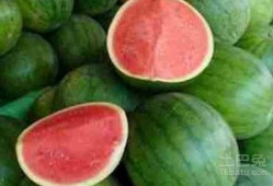 水煮瓜可以吃几天,轻松保存，美味享用数日