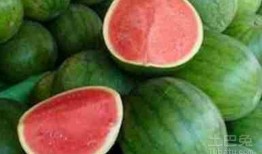 水煮瓜可以吃几天,轻松保存，美味享用数日