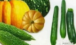 啊水吃瓜,揭秘娱乐圈幕后故事