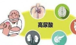 尿酸高吃阿尔瓜,尿酸高人群的阿尔瓜饮食策略解析