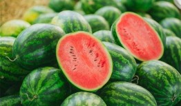 cxt吃瓜,揭秘娱乐圈那些不为人知的幕后故事