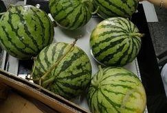 学校吃瓜最新,揭秘学校吃瓜背后的故事