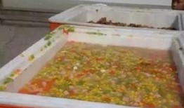 萧山学院吃瓜,校园吃瓜文化盛行，揭秘校园生活趣味瞬间