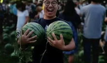 学校吃瓜事件2023,揭秘校园热点背后的真相与反思