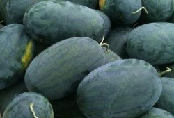 吃瓜在线观看高清,高清畅享，揭秘热门事件幕后真相