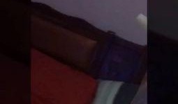 大人吃冰瓜视频,大人吃冰瓜视频走红网络