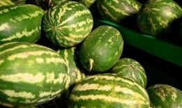 临沂吃瓜网红事件,揭秘网络舆论的风暴与真相