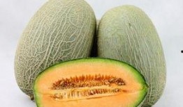 哈密瓜可以跟柚子一起吃,美味碰撞的夏日佳果搭配