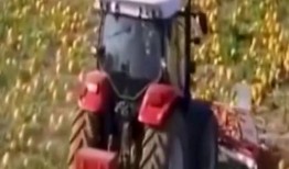 吃瓜推书机,揭秘热门书籍背后的故事与魅力